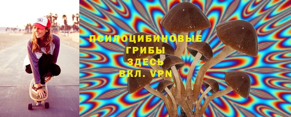 каннабис Алзамай