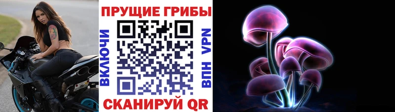 Псилоцибиновые грибы GOLDEN TEACHER  цена   Дивногорск 